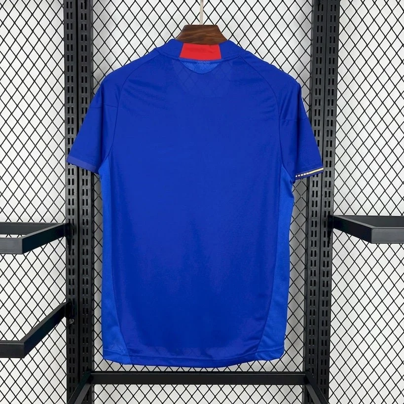 Maillot Japon Domicile 2010-2011 (2)